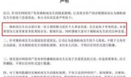 新瓜最新爆料内娱官网,内娱官网惊现独家猛料，揭秘娱乐圈幕后真相