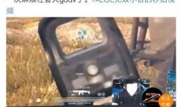 绝地求生爆料小智视频,小智爆料游戏内幕与未来动向